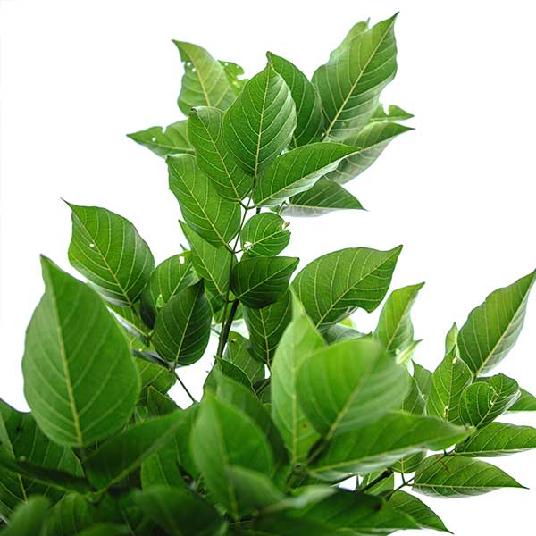 Diam dolor diam ipsum sit. Aliqu diam amet diam et eos.